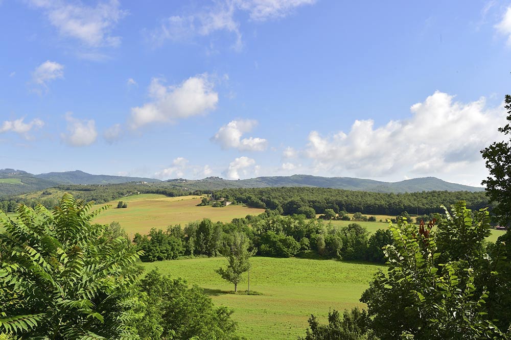 Tuscany countryside 